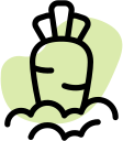 organic foods