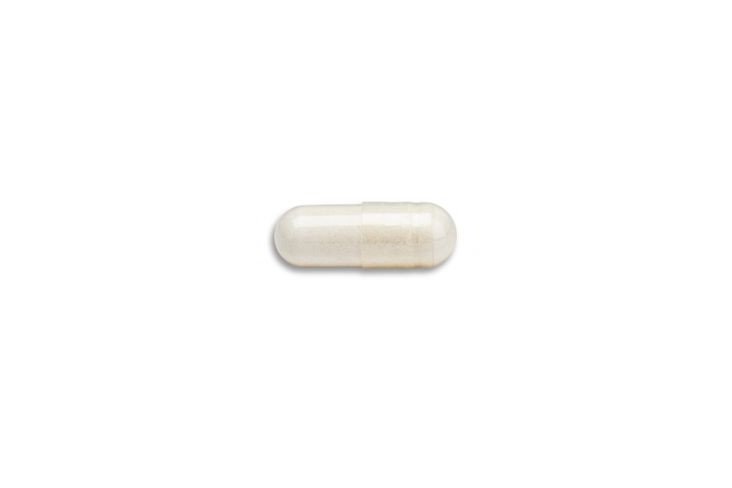 Probiotics + Prebiotics