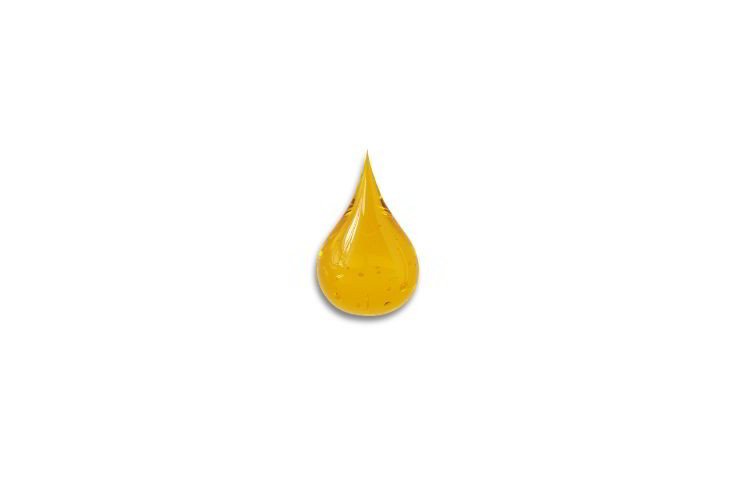 Algae oil FORTE