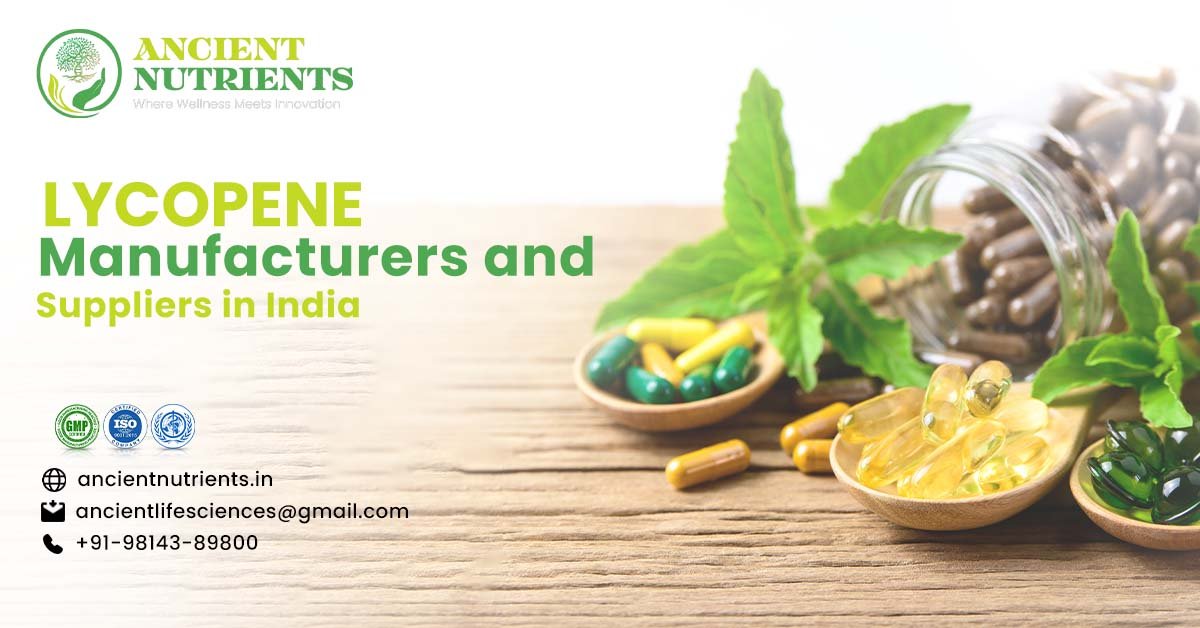 Lycopene Syrup Manufacturer