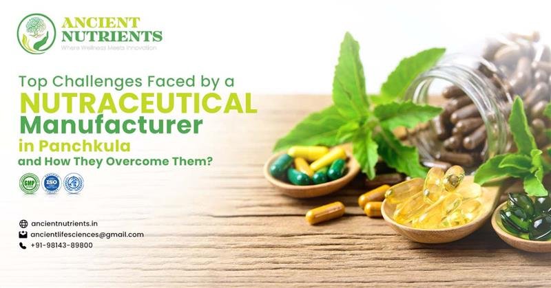 Best Nutraceutical Manufacturer in Panchkula